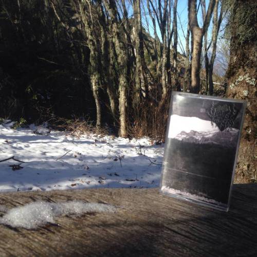 And Wolf Remarked the Ancient Path of Winter Forest